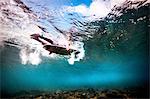 Underwater view of surfer paddling through ocean to catch waves in Bali, Indonesia