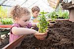 Two children in greenhouse planting plants