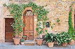 Traditional house with flower pots, Montisi, Siena Province, Tuscany, Italy, Europe