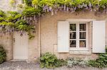 Wisteria in full bloom surrounds a door in Saint-Dye-sur-Loire, Loir-et-Cher, France, Europe