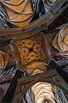 A detail of the ceiling in Salisbury Cathedral, Salisbury, Wiltshire, England, United Kingdom, Europe