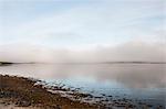 Loch Fyne, Scotland, United Kingdom, Europe