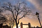 Tower Bridge, London, England, United Kingdom, Europe