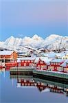 Pink sunset over the typical red houses reflected in the sea, Svolvaer, Lofoten Islands, Arctic, Norway, Scandinavia, Europe