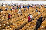 Tobacco auction in Lilongwe, Malawi, Africa