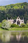 Ruins of Tintern Abbey by the River Wye, Tintern, Wye Valley, Monmouthshire, Wales, United Kingdom, Europe