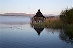 Llangorse Lake and Crannog Island in morning mist, Llangorse, Brecon Beacons National Park, Powys, Wales, United Kingdom, Europe