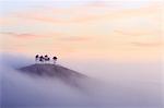 Colmer's Hill in Dorset on a misty autumn morning.