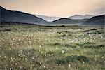 View along countryside fields towards misty Snowdonia mountain range in distance.