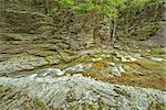 Creek with pure water in the deep canyon.