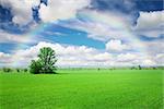 Summer landscape with green grass field, blue sky with clouds and rainbow