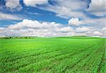 Green grass field and blue sky with clouds