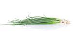 Fresh garden herbs. Spring onion. Isolated on white background