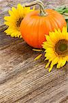 one orange pumpkin with sunflowers  on wooden textured  table