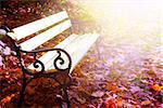 empty white bench in sunny autumn park with, retro toned