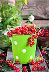 Fresh redcurrant in a bucket on wooden table