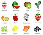 Set of cute fruit icons with title over white background. Vector illustration.