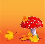 Illustration of amanita on autumn background