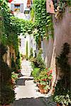 narrow old town street of Provence at sunny summer day, France