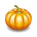 Orange autumn pumpkin icon, Harvest Thanksgiving symbol. Vector illustration