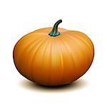 Orange realistic pumpkin isolated on white background, Harvest Thanksgiving symbol. Vector illustration