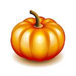 Orange autumn pumpkin icon, Harvest Thanksgiving symbol. Vector illustration