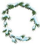 Christmas frame spruce branches in snow. Isolated illustration in vector format