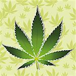 Vector cannabis leaf on white background. Marijuana
