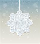 Decorative vector Christmas background with snowflake