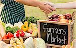 Farmer shaking his customers hand on a sunny day