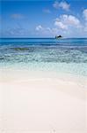 Beach, Silk Caye, Belize, Central America