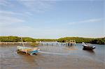 Pirogue (fishing boat) on the mangrove backwaters of the Sine Saloum Delta, Senegal, West Africa, Africa