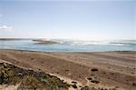 Punta Cantor, Valdes Peninsula, Patagonia, Argentina, South America