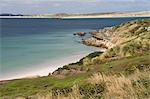 Gypsy Cove, Yorke Bay, Port Stanley, Falkland Islands, South America