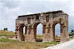 Arch of Modestus at the Lycian site of Patara, near Kalkan, Antalya Province, Anatolia, Turkey, Asia Minor, Eurasia