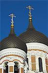 Domes of the Alexander Nevsky Cathedral, Russian Orthodox church, Toompea Hill, Tallinn, Estonia, Baltic States, Europe