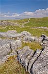 Limestone pavement and dry stone wall above Settle, Yorkshire Dales National Park, Yorkshire, England, United Kingdom