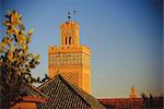 Rooftops,Marrakech,Morocco