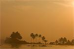 Sunrise at Allepy, Kerala, India