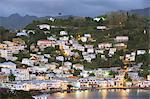Harbour and town houses, St. George's, Grenada, Windward Islands, West Indies, Caribbean, Central America