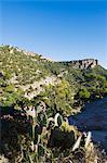 Cactus and canyon top hotel, Barranca del Cobre (Copper Canyon), Chihuahua state, Mexico, North America