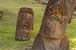 Rano Raraku Archaeological Complex, Rapa Nui (Easter Island), UNESCO World Heritage Site, Chile, South America