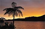 Sunrise, Lake Mangamahoe, Taranaki, North Island, New Zealand, Pacific