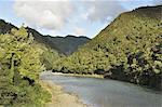 Waioeka River, Waioeka Gorge Scenic Reserve, Bay of Plenty, North Island, New Zealand, Pacific