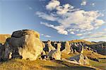 Castle Hill, Canterbury high country, South Island, New Zealand, Pacific