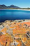 Red lichen on rocks, Wineglass Bay, Freycinet National Park, Freycinet Peninsula, Tasmania, Australia, Pacific