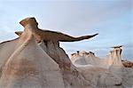 The Stone Wings formations at dusk, Bisti Wilderness, New Mexico, United States of America, North America
