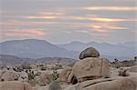 Cloudy sunrise, Joshua Tree National Park, California, United States of America, North America