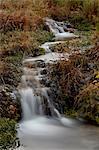 Cascades at Cascade Springs in the fall, Uinta National Forest, Utah, United States of America, North America