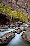 Cascades on the Virgin River in the fall, Zion National Park, Utah, United States of America, North America